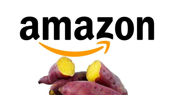 Amazon has lost its mind-Sweet potato instead of SATA to SSD Converter?